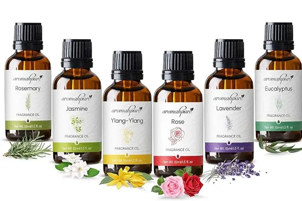 گروه بویایی