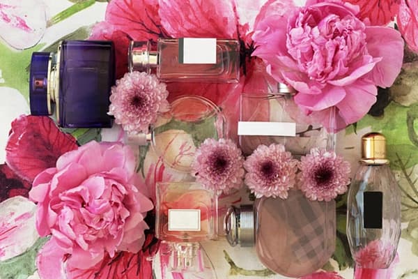 گروه بویایی