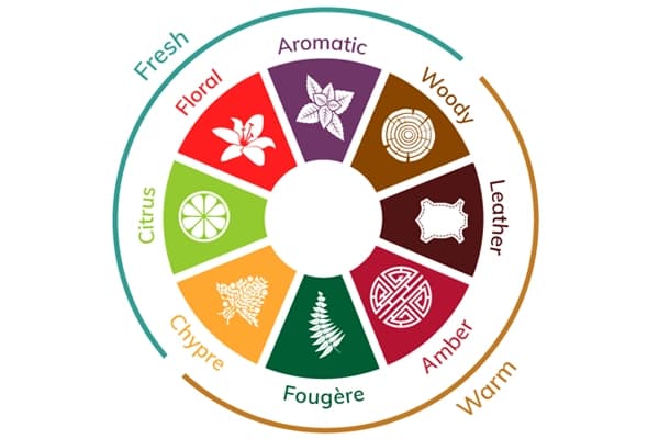 گروه بویایی