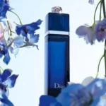 دیور ادیکت (ادکت)