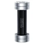 دیویدوف چمپیون